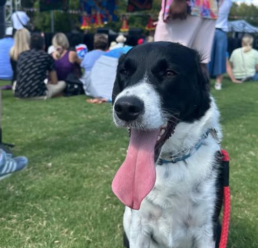 Wilson with tongue out at Centennial Park Nashville