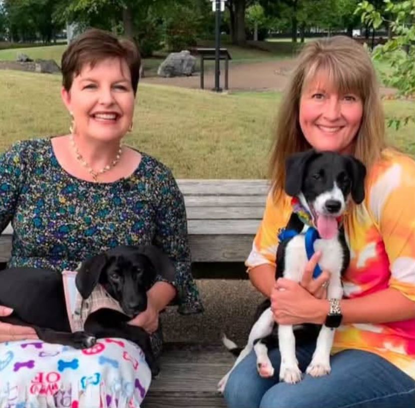 Jennifer and friend with baby puppies on a park bench